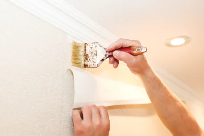 Pose de papier peint à Plaine-d'Argenson — revêtements muraux et toiles de verre